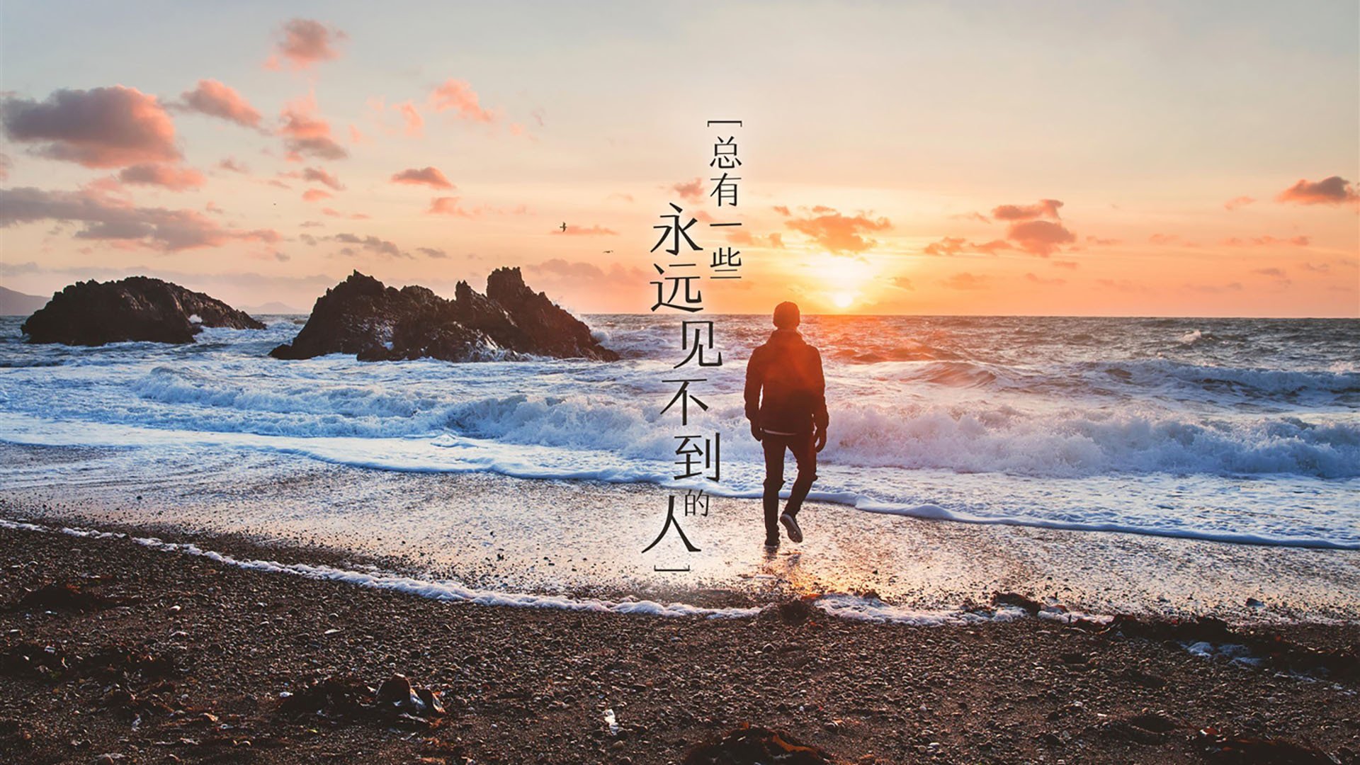 开云官网首页-国王队青年力量崛起，球队未来充满希望，国王队青年力量崛起,球队未来充满希望