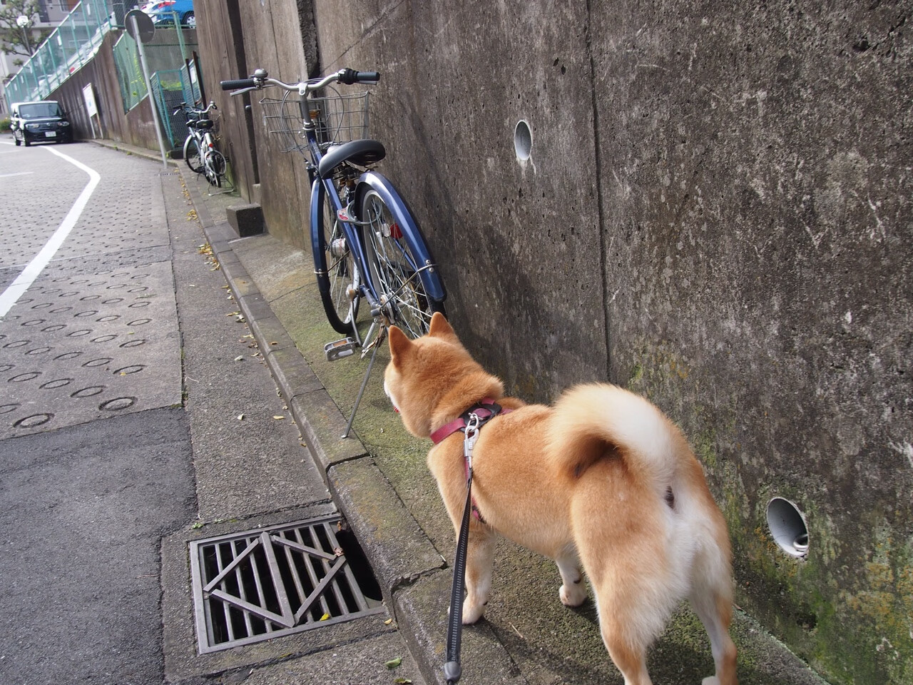 开云首页登录-战队管理的心理学应用：打造坚不可摧的团队凝聚力，战队制度