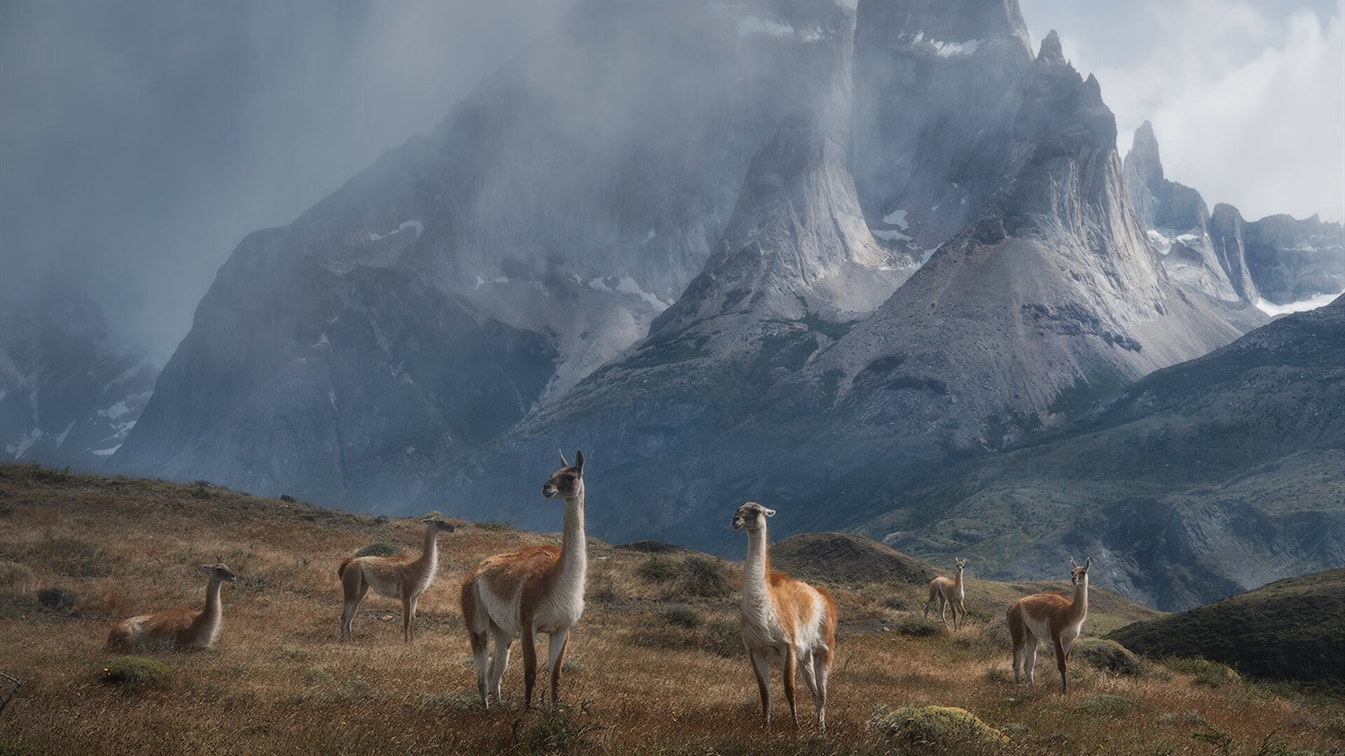 kaiyun-爆款主题：年度“最难局”排行榜
