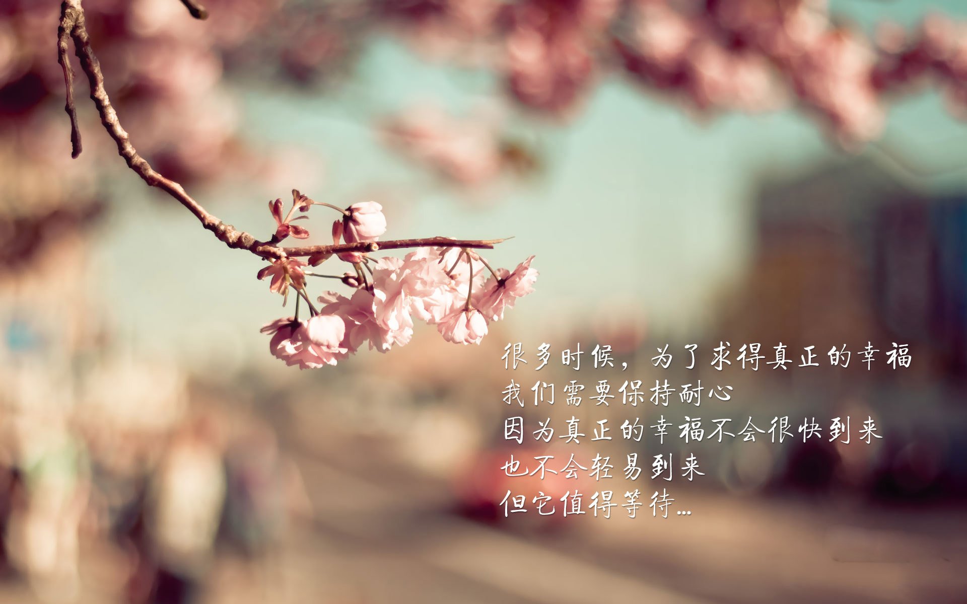 开云网页版-绿色环保场馆效果明显，行业持续践行可持续发展战略，绿色环保设施