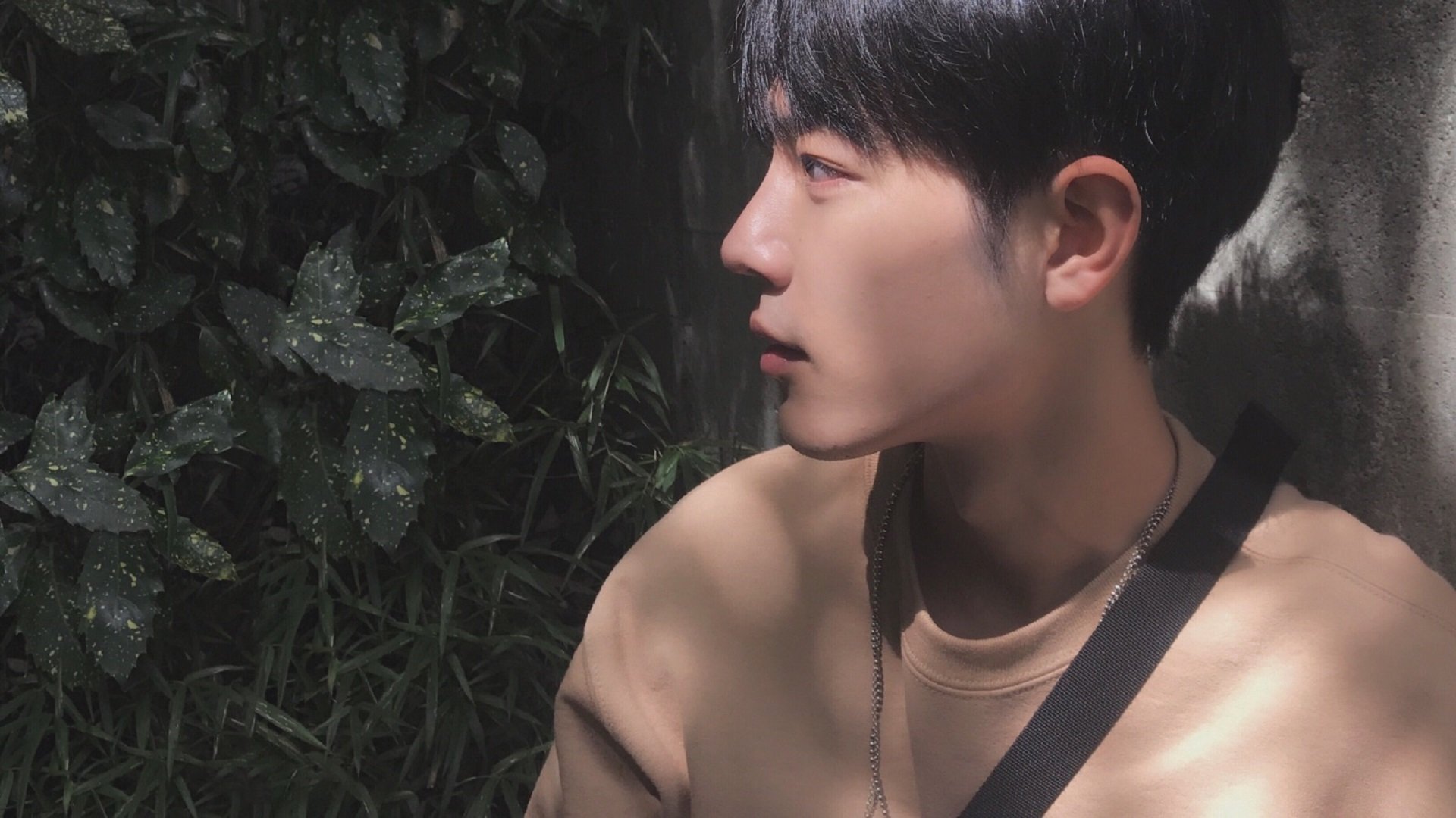 开云平台-南安普顿客场挑战里奇，鹿岛鹿角抗衡之战，南安普顿的地理位置