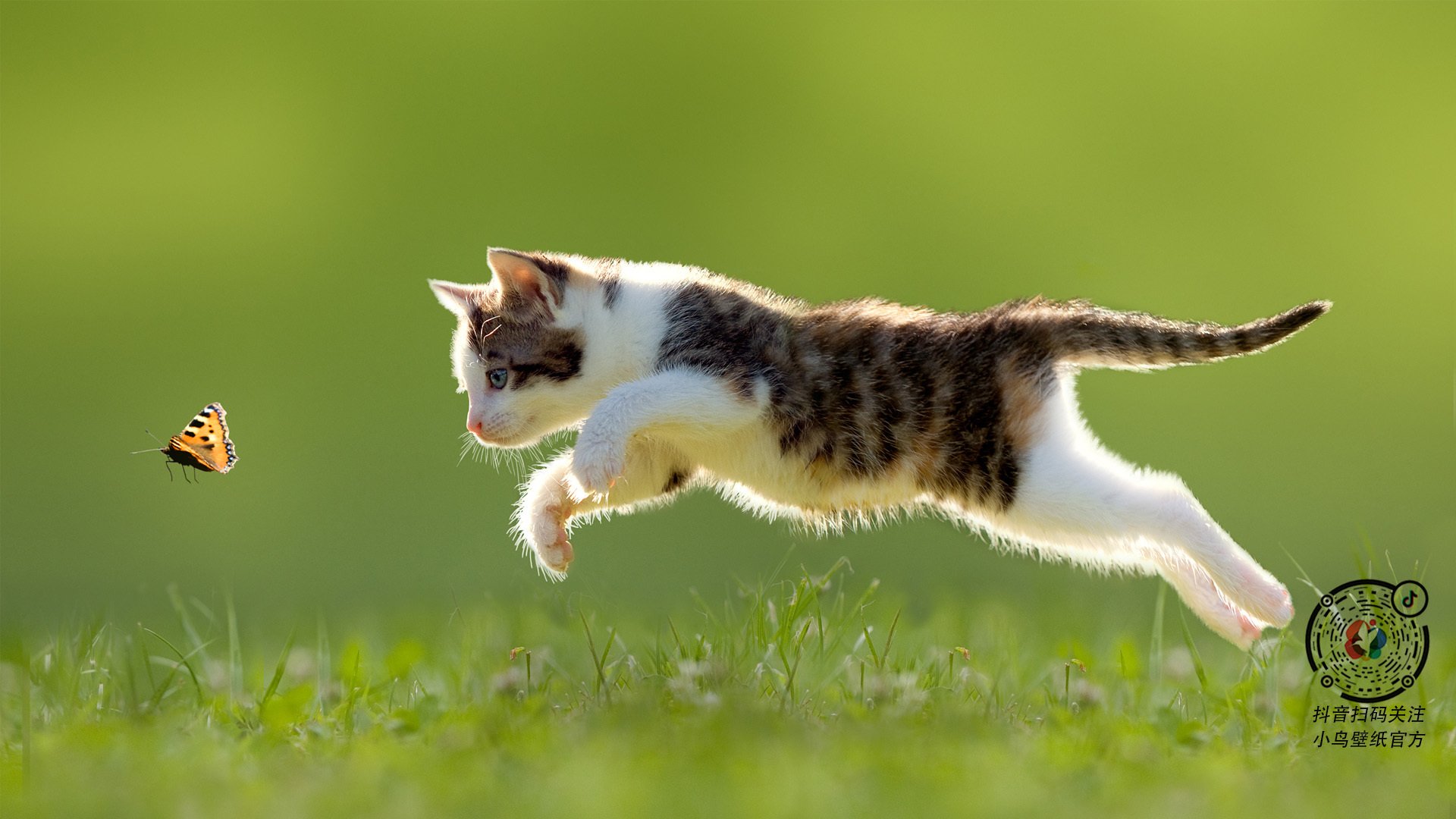 女足世界杯历史最佳射手排行榜,女足世界杯最佳成绩