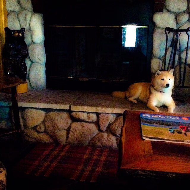 Kaiyun APP-巴萨势不可挡，力争击败圣保罗队，sergio巴萨