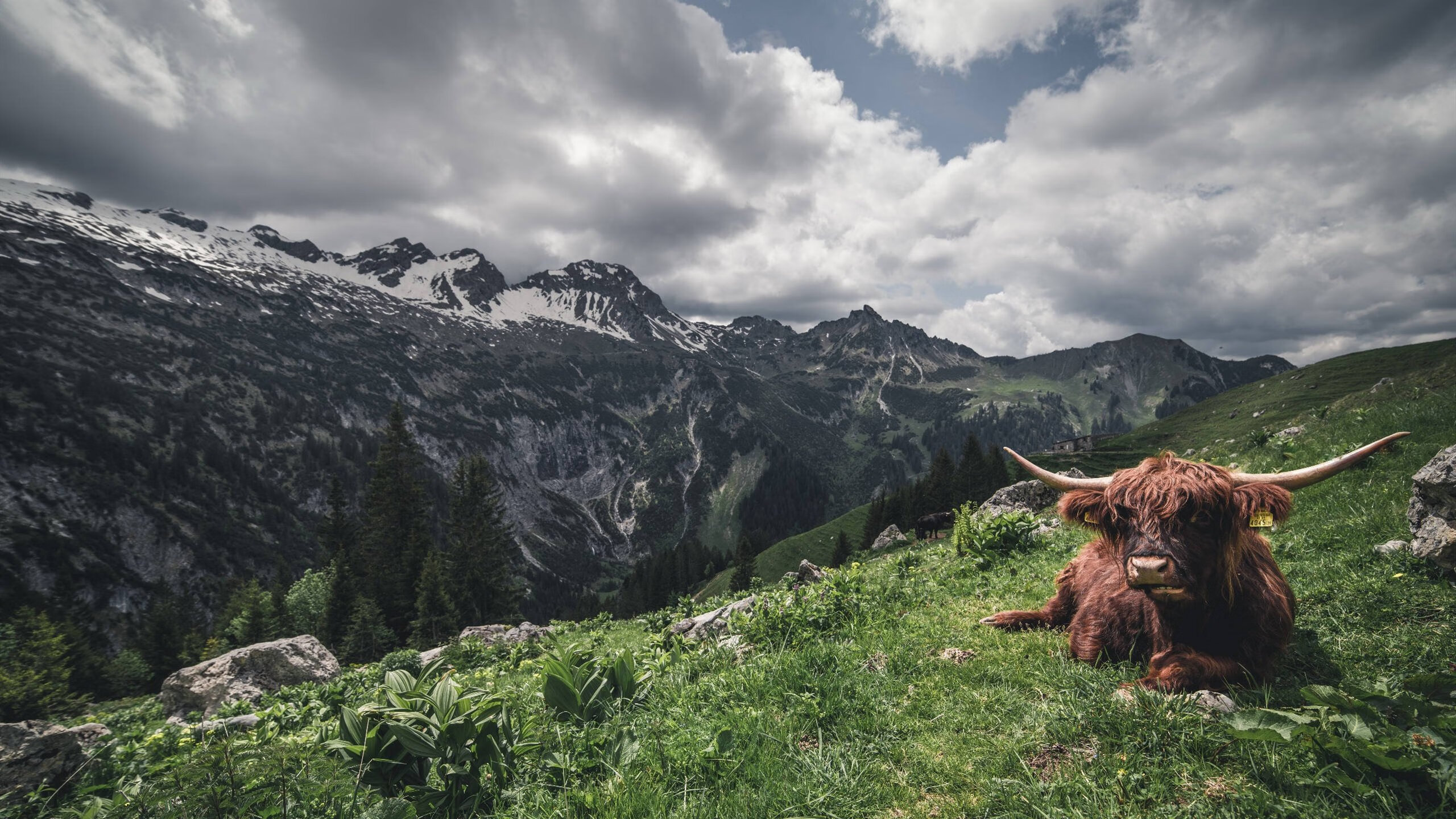 球队拦截数据与赛季防守成功率直接关联研究，足球中拦截的定义