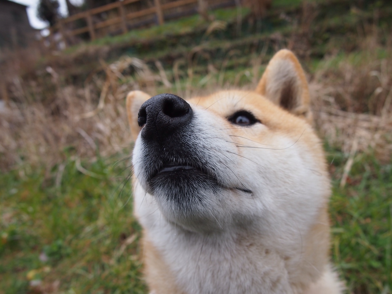 英雄联盟高校联赛热血开打未来之星初露锋芒，英雄联盟未来系列皮肤