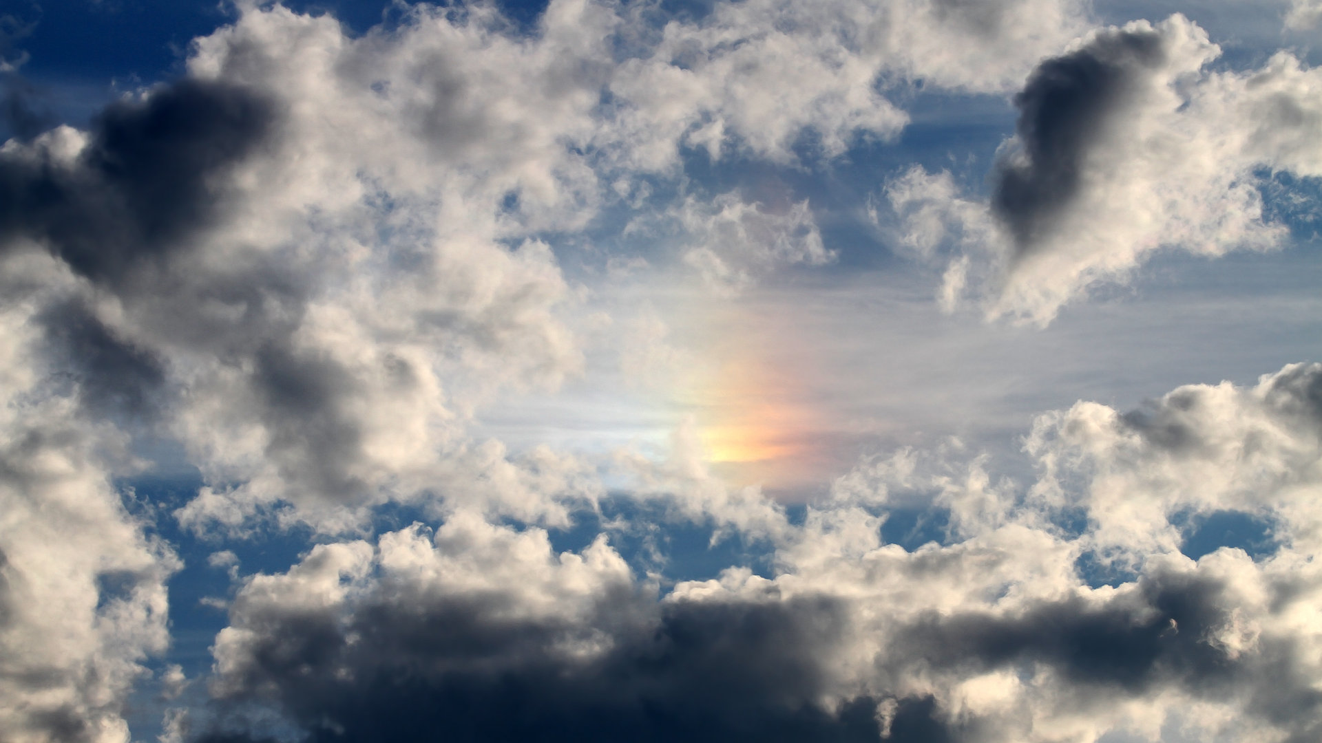 开云体育中国官网-库里支持小球员参赛鼓励敢打敢拼，库里鼓励队友