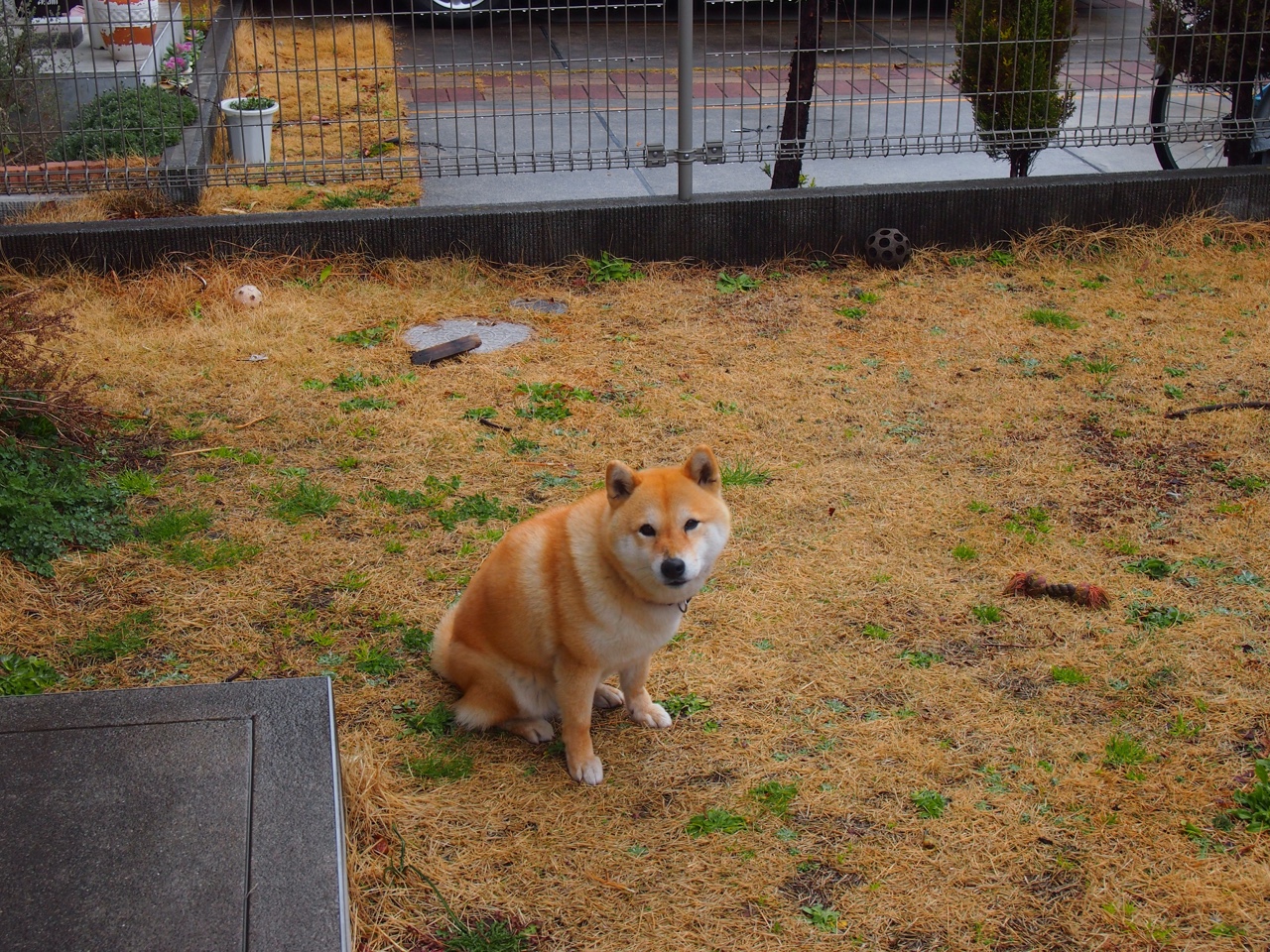 开云首页登录-替补球员关键投篮改变赛事走向，深度轮换成赛季关键词，篮球替补很差吗